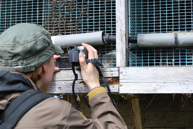 Pelsdyrnæringens kneblingsforsøk avvist av retten