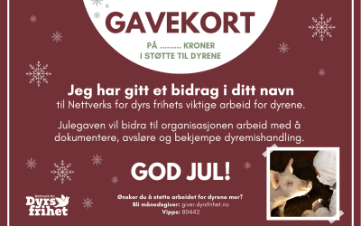 Julegavetips: Gi et gavekort til dyrene